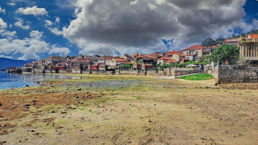 TÍTULO: A fundación Terreo, exemplo de recuperación do rural nun foro do Goberno en Asturias - Galicia Universal