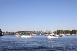 A group of boats floating on top of a river – Foto de miner K en Unsplash