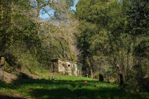 A stone building nestled in the woods. – Foto de Natalia Gusakova en Unsplash