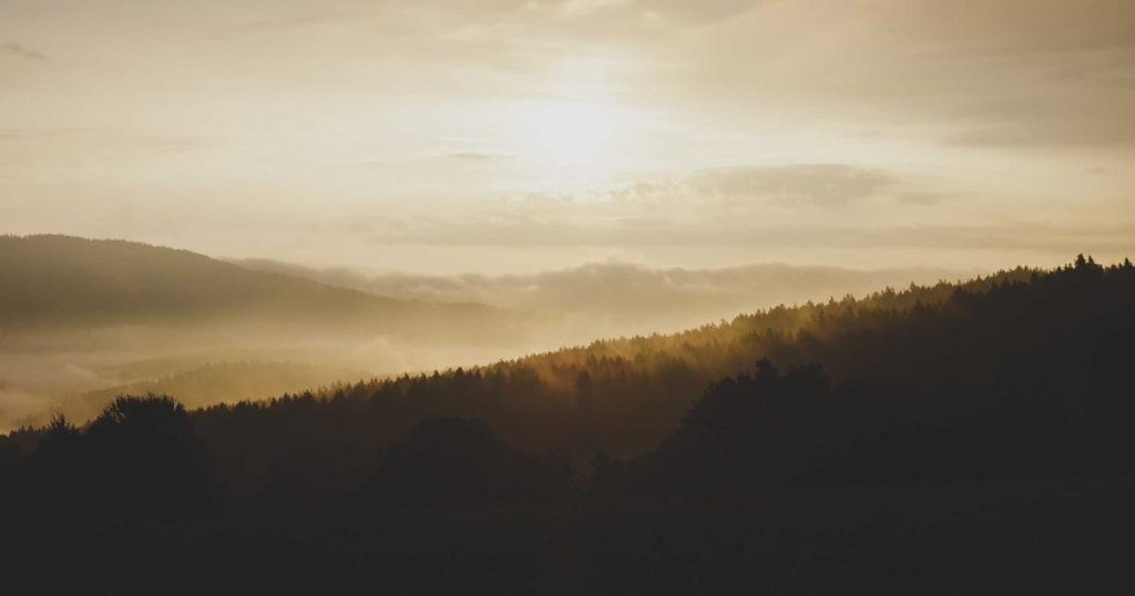 susan sarandon recibe