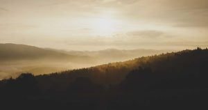 susan sarandon recibe