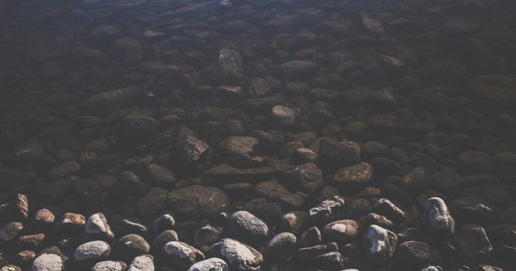 Cultura mejores genes