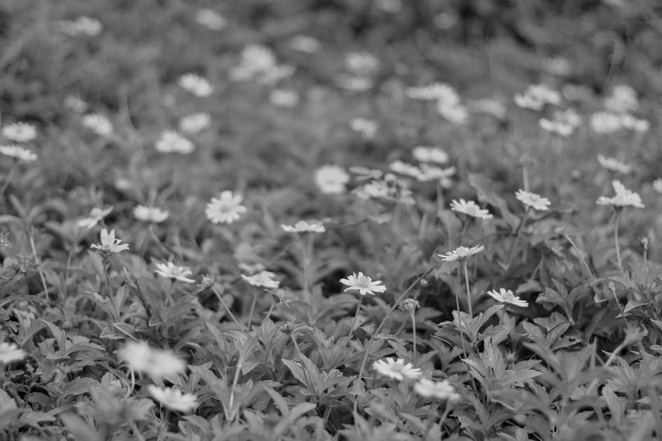 Lugo cobran productividad