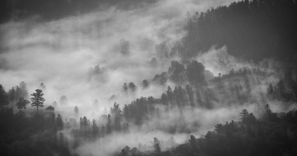 A Chaira ticas vilalba