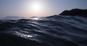 trump autócrata aspiracional pero