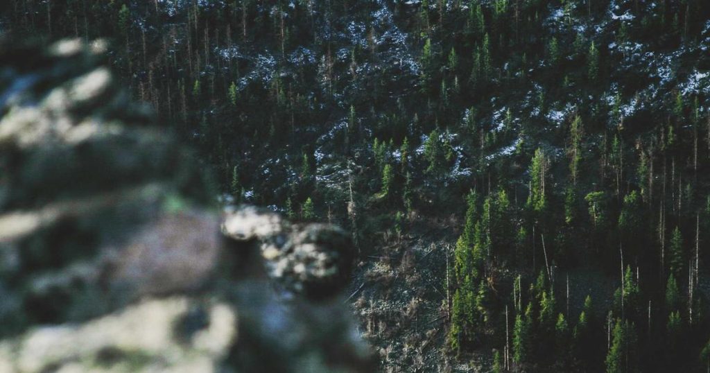 celta muere orilla tras