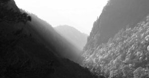 reloj electoral marca paso