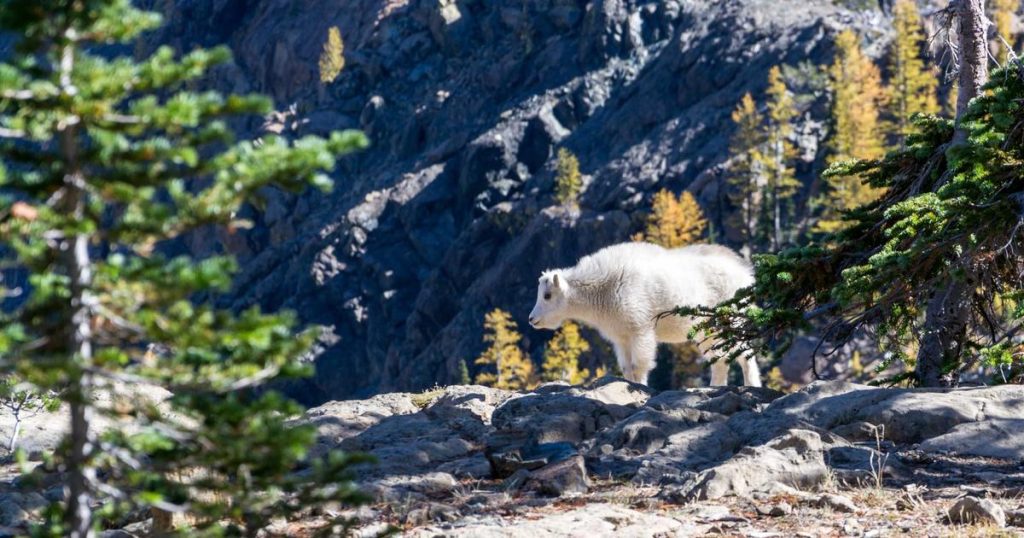 portas manera mundo distinta