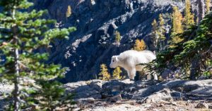 portas manera mundo distinta