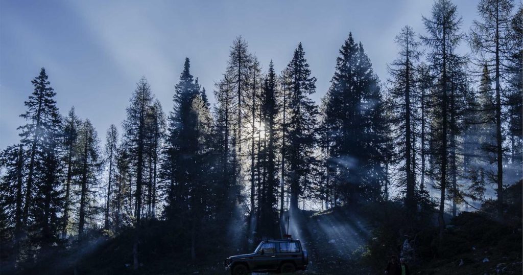 cada tres mujeres dedicadas