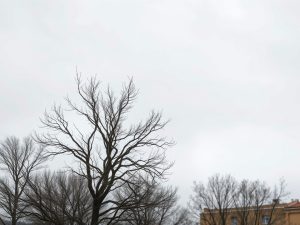 El tiempo en Carral: previsión para hoy, martes 10 de marzo de 2026