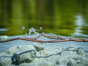 Creatividad como manifiesto natural