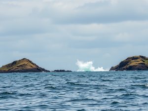 El problema de dónde enterrar los residuos radiactivos: Japón estudia enviarlos a una isla a casi 2.000 kilómetros de To