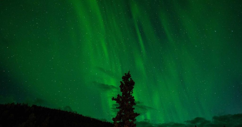 travesía judicial barco maldito