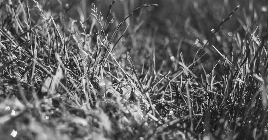 thylane blondeau niña guapa