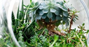 bruselas insta países reducir