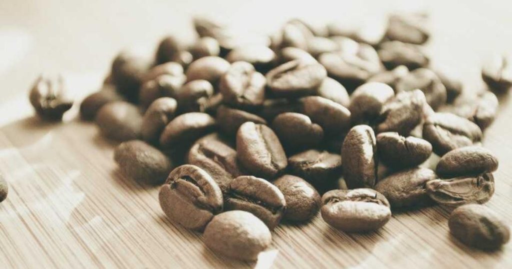 xunta concello colaborarán conectar