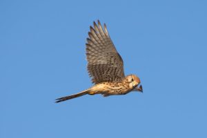 xunta archiva tres parques galicia