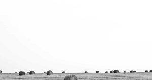 xunta detecta redondela nuevo