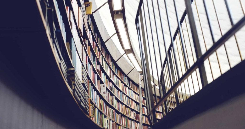 gustavo petro denuncia irregularidades