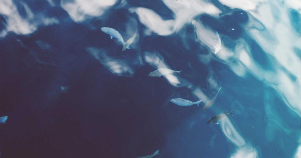 exmonjas belorado cumpleaños sion