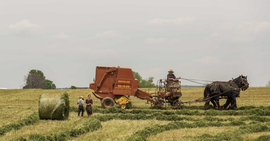 mercado pautas reforzar confianzas