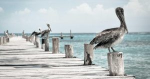 médicos alzan vigo recursos