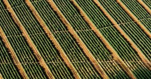 agenda actividades previstas este