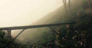 sabe usted jabalíes ourense