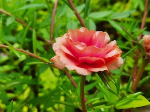 agenda todo sucede este