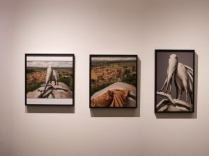 Terras Gauda celebra el 25º aniversario de la Bienal Internacional de Cartelismo