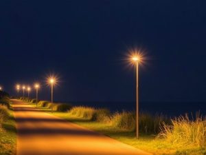 Ahorrar energía y proteger a la fauna: objetivo de la nueva iluminación led