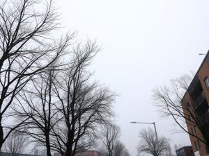 El tiempo en Viveiro: cielo muy nuboso y temperaturas suaves para hoy, jueves 12 de marzo de 2026