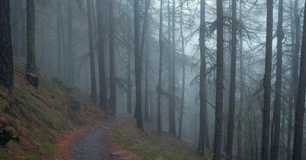 Estas son as noticias máis lidas este xoves en Diario de Pontevedra