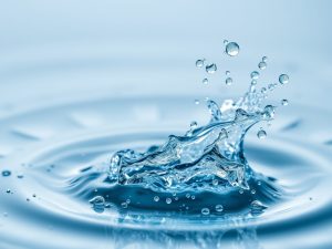 Una plataforma gallega impulsada por Mestrelab Research facilitará el análisis y reutilización de datos científicos comp