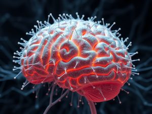 Científicos crean unha "placa de circuito neuronal" que reproduce o cableado do cérebro humano a escala