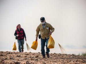 Ya se encuentran en tramitación más de la mitad de las ayudas a explotaciones por los incendios de agosto