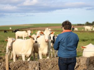 Galicia intensifica controles para blindar el precio de la leche ante la presión del mercado europeo