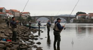 A pesca fluvial en Galicia comeza con 48.500 licenzas e un lixeiro aumento de afeccionados
