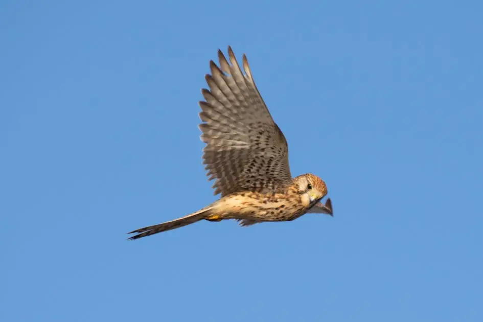 yolanda díaz conselleiro lópez
