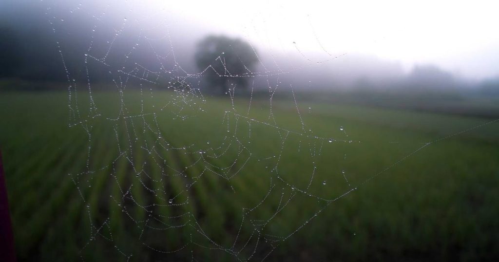 Trasladado ao hospital un home tras caer dunha escaleira en O Vicedo