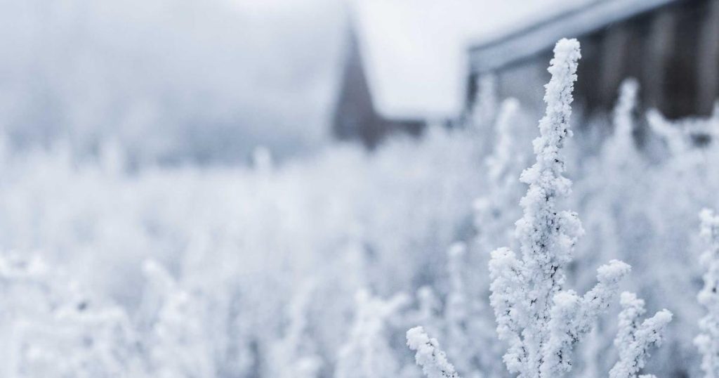 O PP, favorito segundo unha sondaxe: o PSOE perde escanos e Vox superaría o 20% en Castela e León