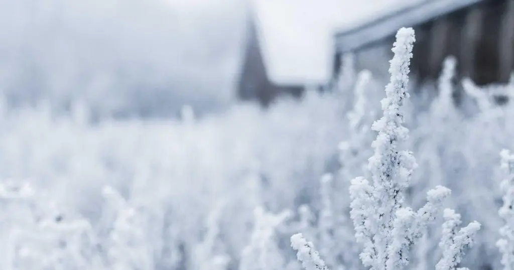 O PP, favorito segundo unha sondaxe: o PSOE perde escanos e Vox superaría o 20% en Castela e León