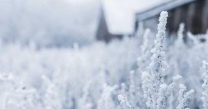 favorito según sondeo psoe