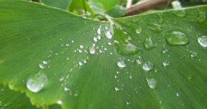 detenida pareja okupa moaña