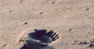 lemos prosigue buena racha