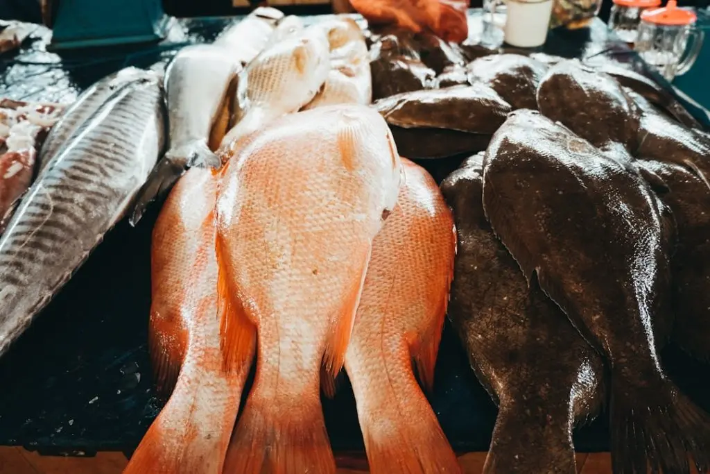 fish on black surface – Foto de Devi Puspita Amartha Yahya en Unsplash