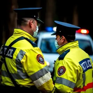 Guardia Civil reparte roles en el caso Forestalia: tronco