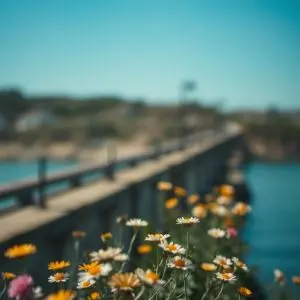 Indignación en As Pontes por robo constante de flores