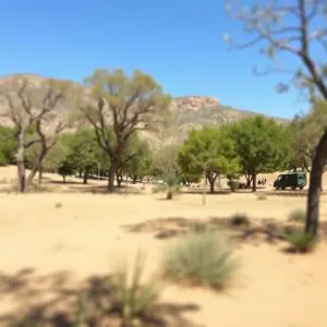 Ciudad Real adquiere 45 hectáreas en el Parque de Alarcos
